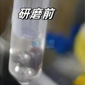 必看！全自动浸入式液氮冷冻研磨仪高效研磨小鼠肝脏提取DNA实操指南