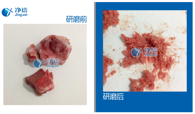 研磨破碎结缔组织仪器：高通量组织研磨仪