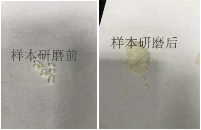 多样品组织研磨仪